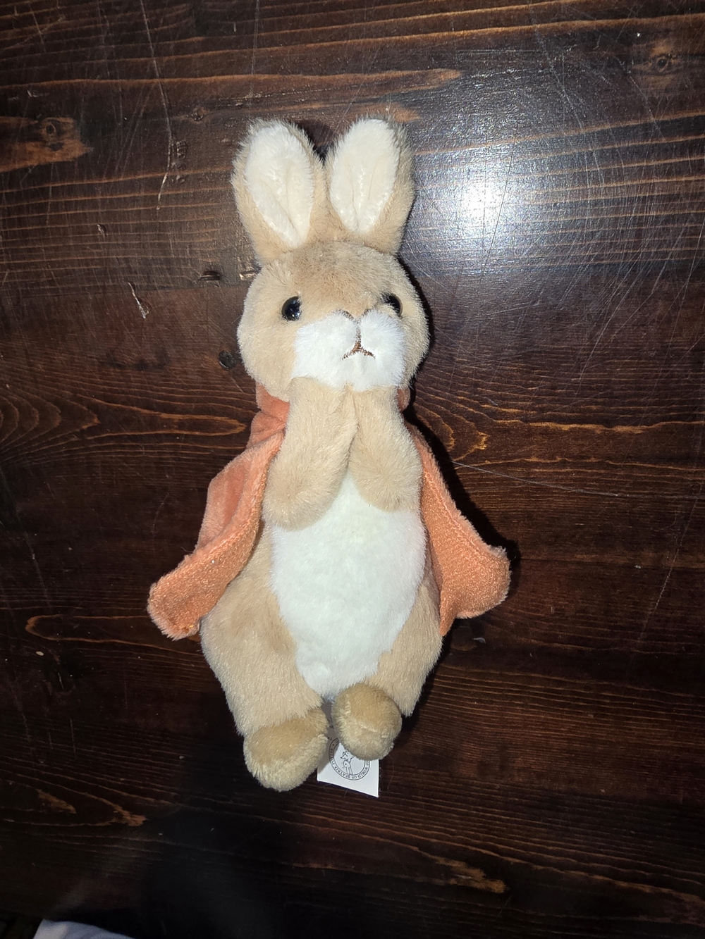 ​Beatrix Potter Peter Rabbit Flopsy Bunny Plush | Small Orange Cape Stuffed Anim